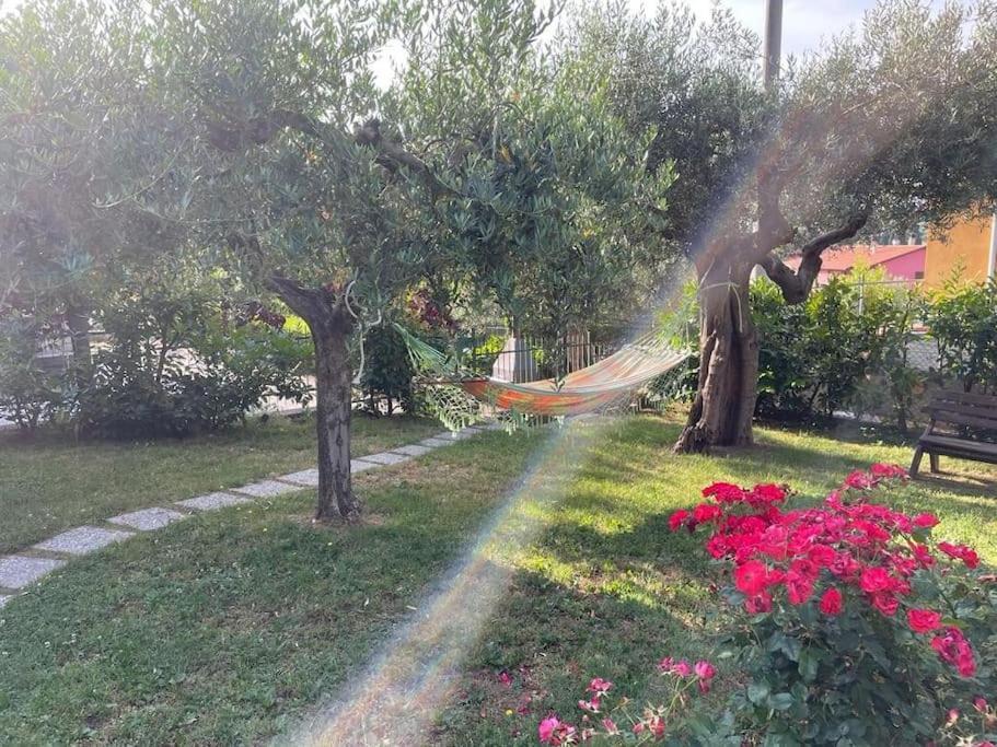 Apartament La Dimora Delle Rose Passignano sul Trasimeno Zewnętrze zdjęcie