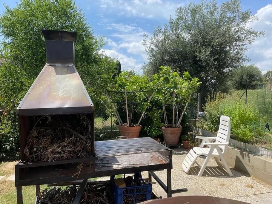 Apartament La Dimora Delle Rose Passignano sul Trasimeno Zewnętrze zdjęcie