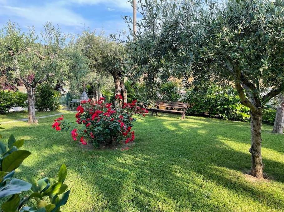 Apartament La Dimora Delle Rose Passignano sul Trasimeno Zewnętrze zdjęcie